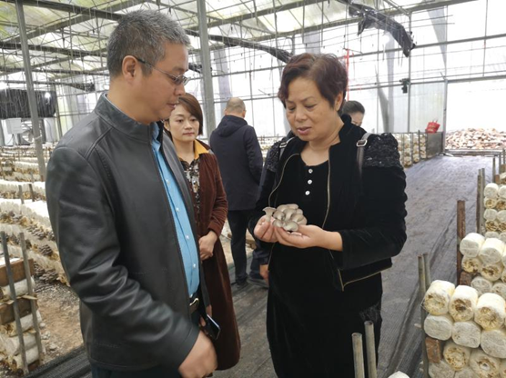 ʡ�����̾ʹ��쵼���м������м��� ��ҵ��ҵ����