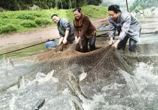 �Ĵ��ϳ䣺��ҵ��ƶ���м��˳�������