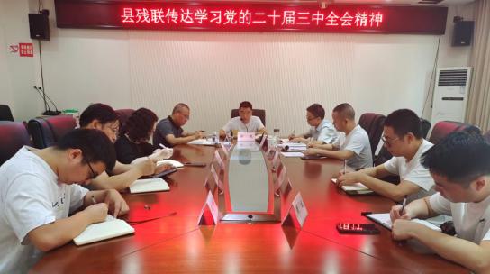 ��ز�������ѧϰ���Ķ�ʮ������ȫ�ᾫ��