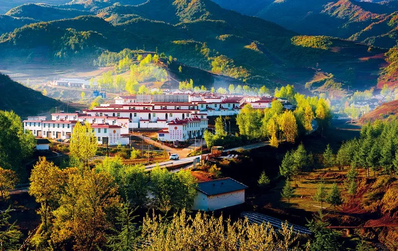 http://www.ncdpf.org.cn/uploadfile/2019/20190829101120712001.png